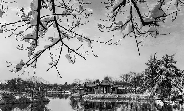 说好的暴雪倾城，是这样吗？